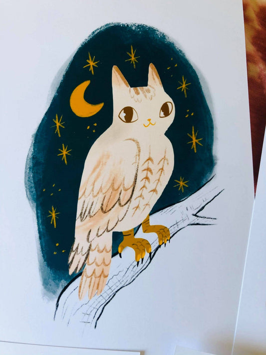 Owl bird cat 5x7 print