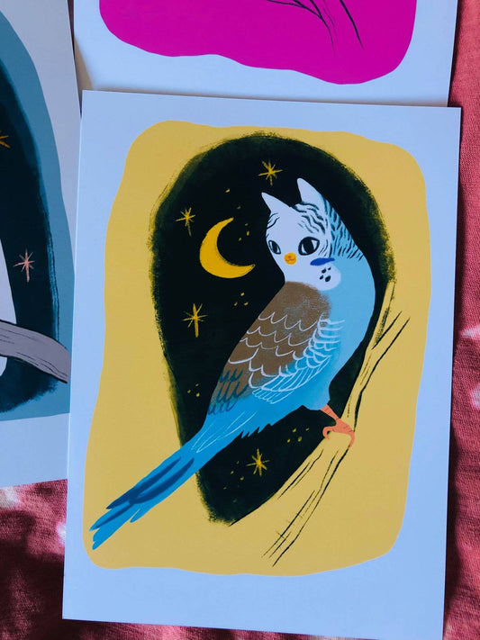 Vibrant bird cat 5x7 print