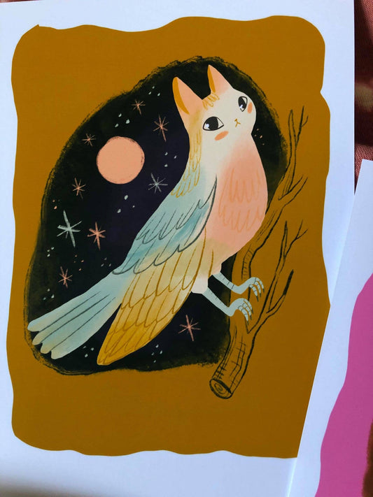 Red breast bird cat 5x7 print